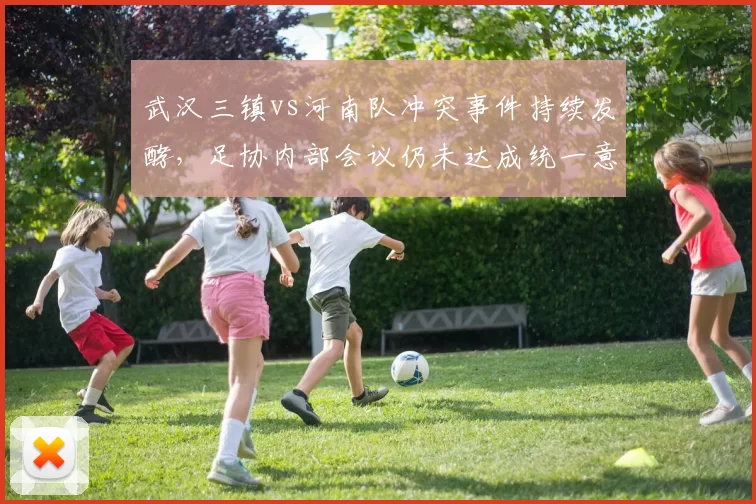 武汉三镇vs河南队冲突事件持续发酵,足协内部会议仍未达成统一意见?