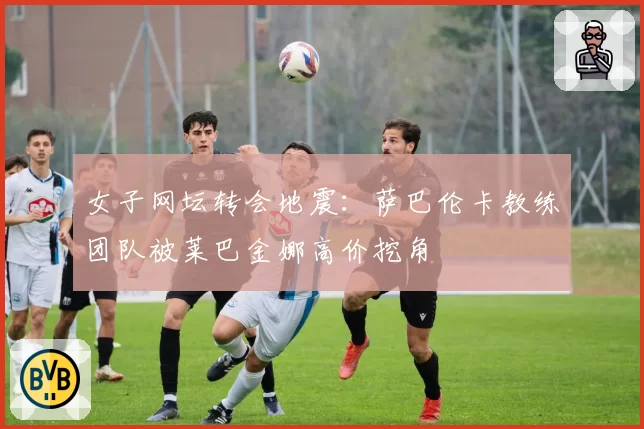 女子网坛转会地震:萨巴伦卡教练团队被莱巴金娜高价挖角