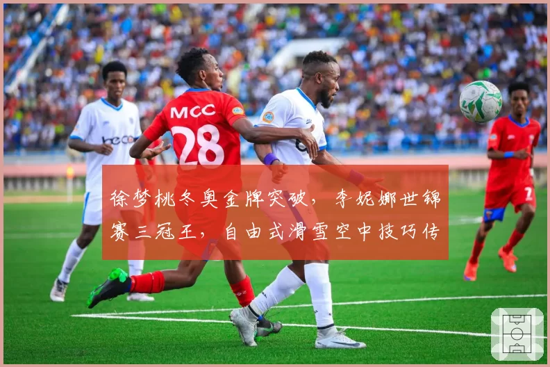 徐梦桃冬奥金牌突破，李妮娜世锦赛三冠王，自由式滑雪空中技巧传奇对比