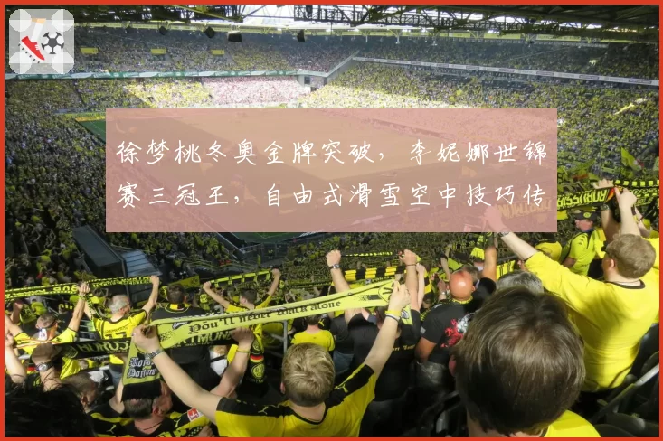 徐梦桃冬奥金牌突破，李妮娜世锦赛三冠王，自由式滑雪空中技巧传奇对比